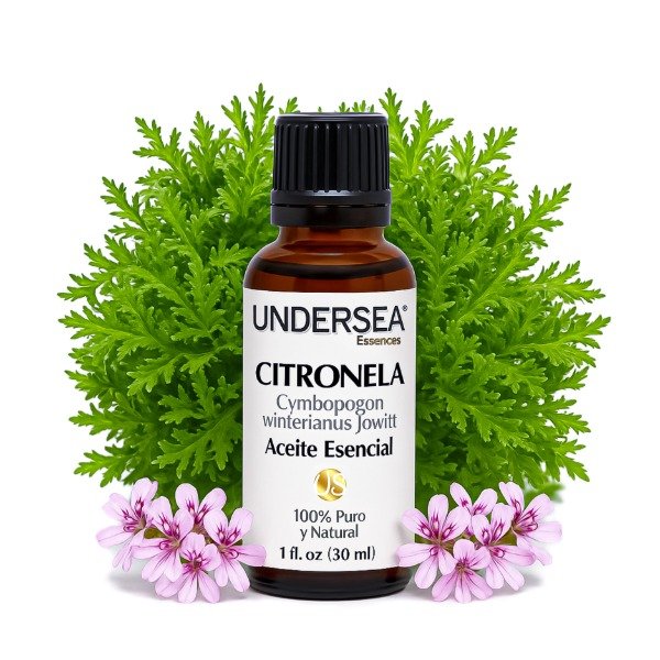 Producto - ACEITE ESENCIAL DE CITRONELA (CYMBOPOGON WINTERIANUS JOWITT)