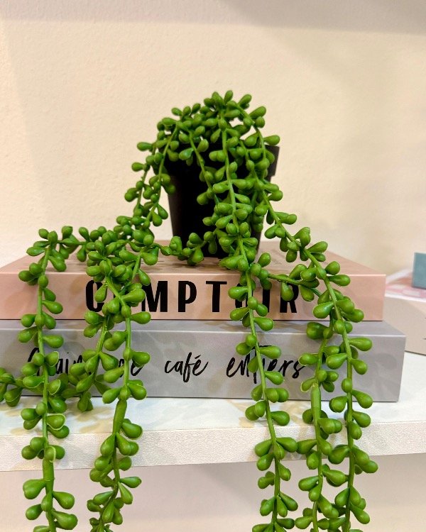 Producto - PLANTA ROSARIO 45cm