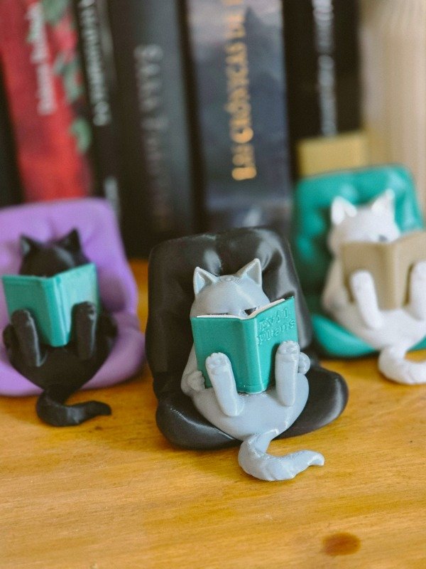 Producto - GATITO LECTOR EVIL PLANS - 3