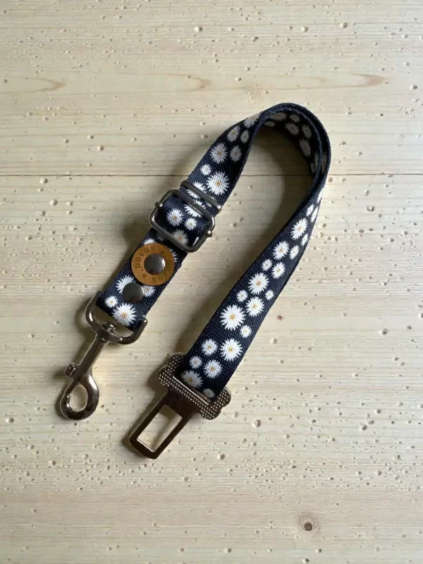 Producto - Cinturón de seguridad diseño