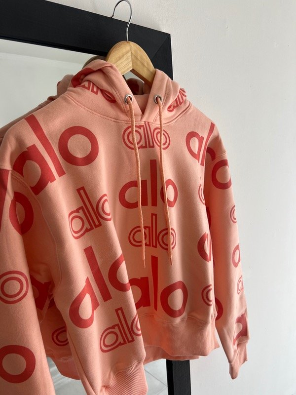 Producto - Buzo ALO pastel