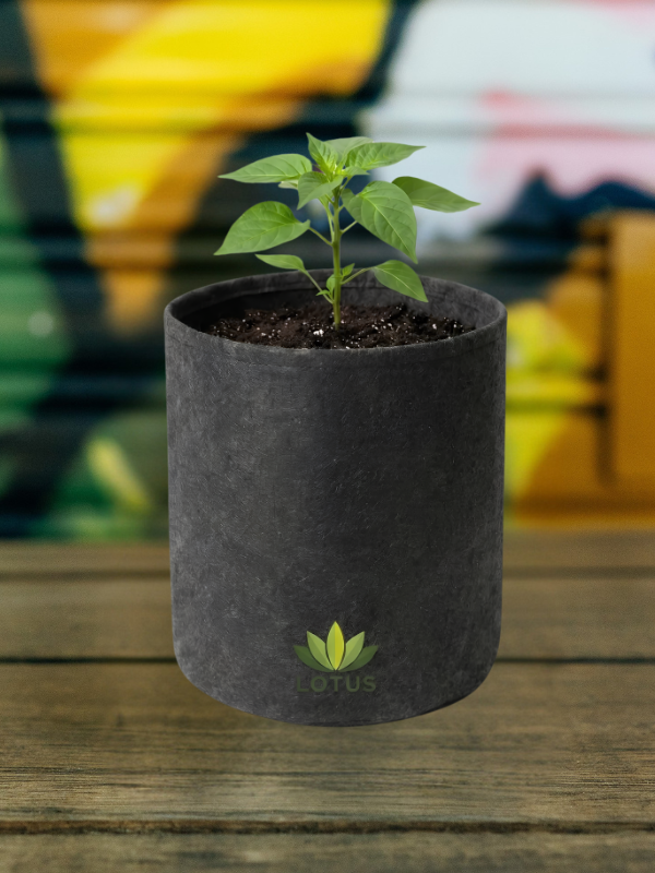 Producto - Maceta Geotextil 80L Cannalab