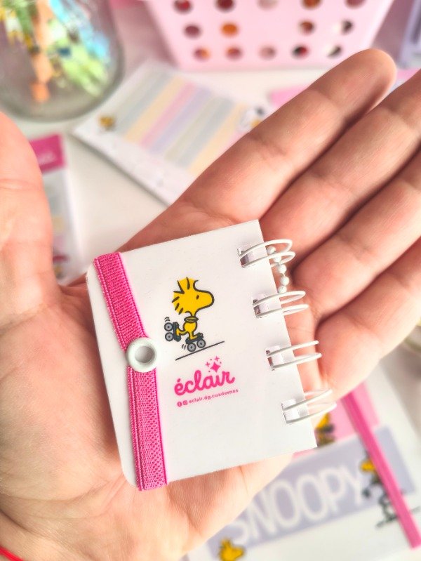 Producto - Reserva - Box Snoopy Pastel - Cuaderno discos - 12