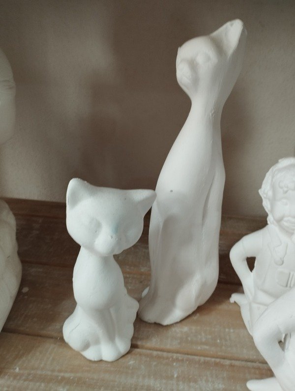 Producto - Pareja de gato (Protec. persona)