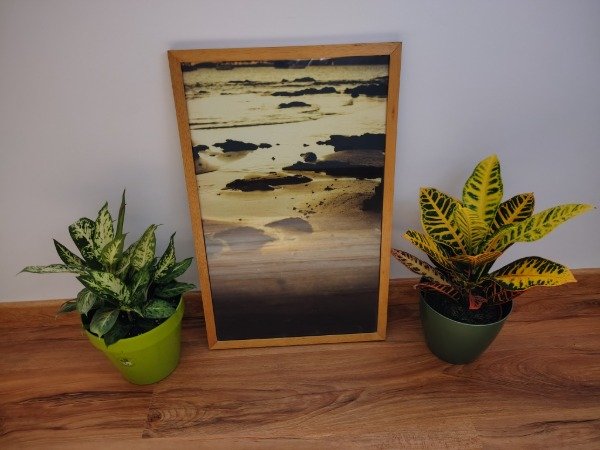 Producto - Orilla amarilla