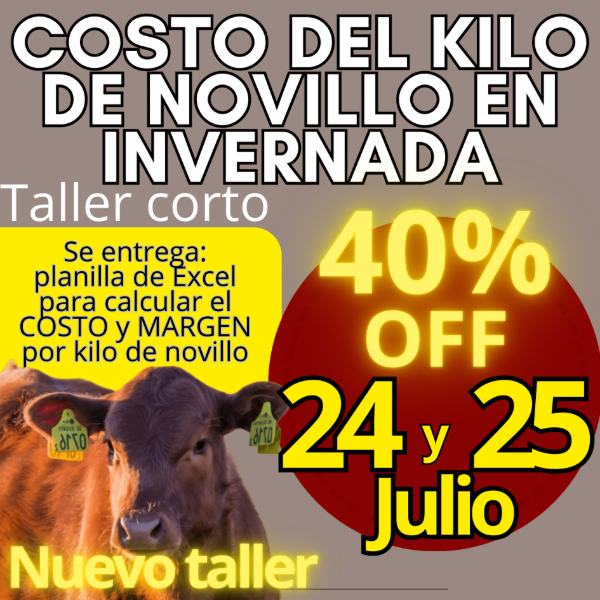 Producto - Taller corto: cálculo del costo del kilo de novillo