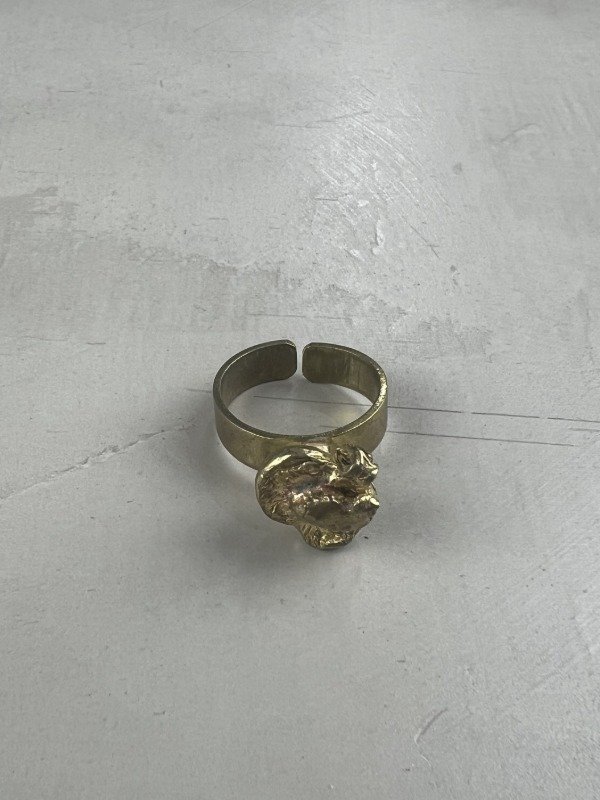Producto - Anillo Vestigio III - 1