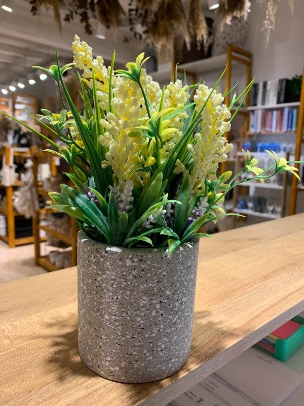 Producto - PLANTITA - 0