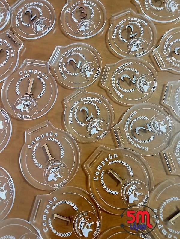 Producto - MEDALLAS en acrílico (VARIOS MODELOS) - 6