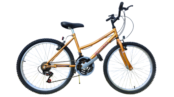 Producto - BICICLETA TT R 24 DAMA 18/VEL