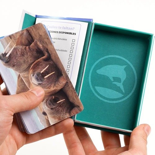 Miniatura de producto - 2