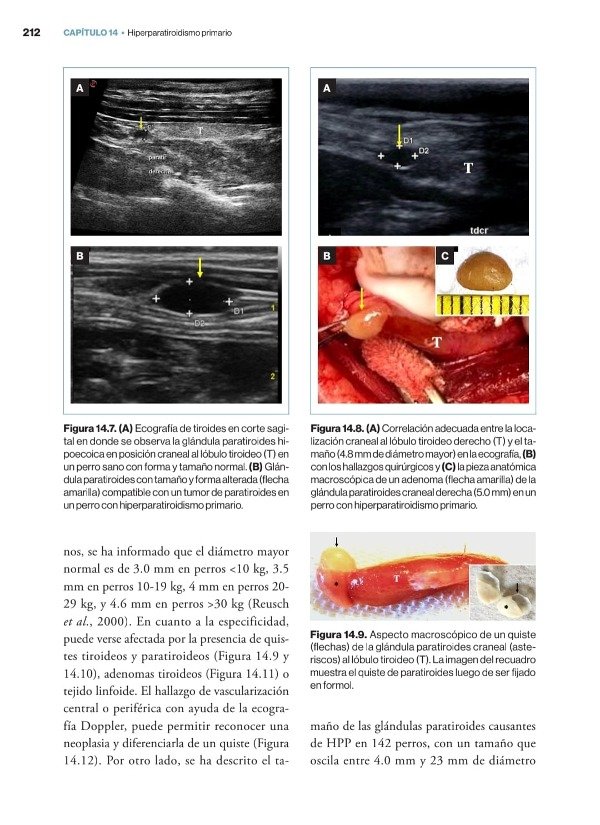 Producto - Teyssandier - Soler Arias: Manual Práctico de Endocrinología Clínica en el Perro - 7