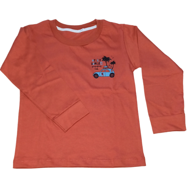 Producto - Remera auto ladrillo