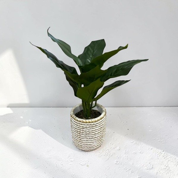 Producto - Maceta plastica 263
