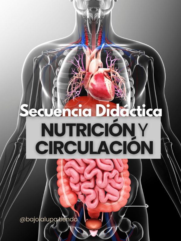 Producto - Secuencia didáctica Nutrición y Circulación