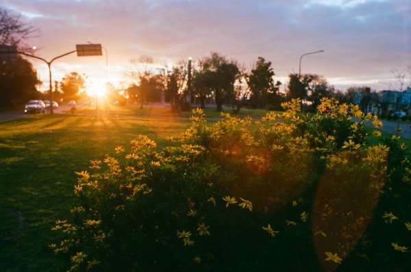 Producto - Kodak Ektacolor Pro 400 - 2