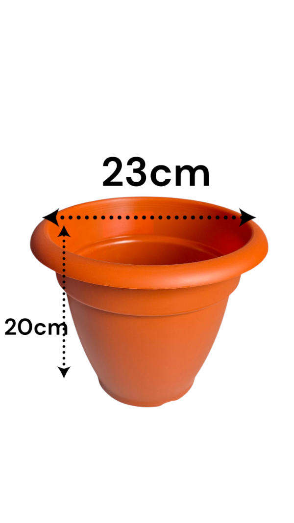 Producto - Maceta Florida  N24