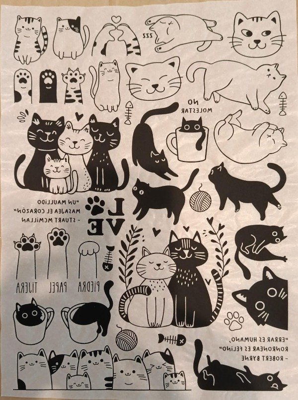 Producto - Gatos #2