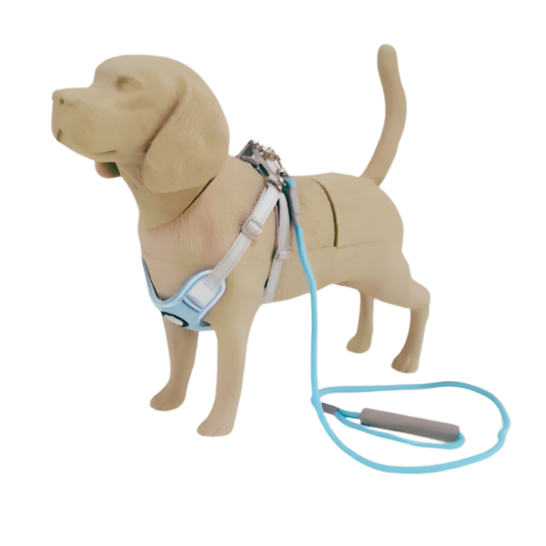 Producto - Conjunto Pechera en H Huellita y Correa Soga Enredada 990261