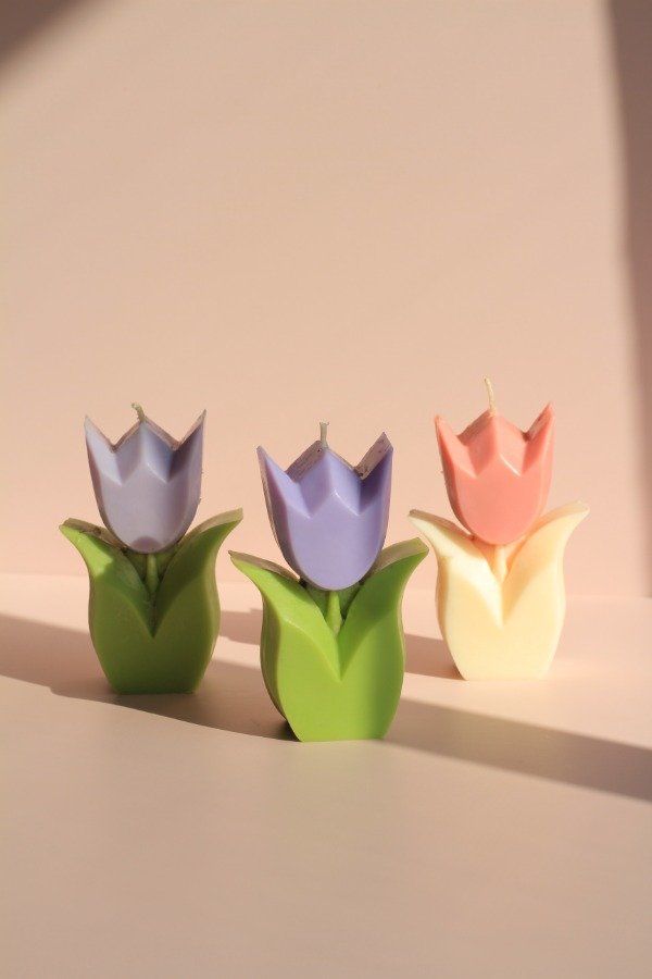 Producto - TULIPAN
