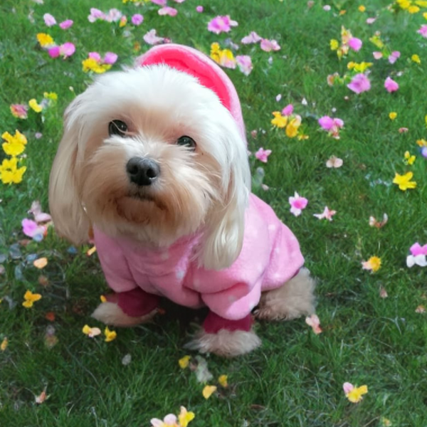 Producto - Buzo Femm