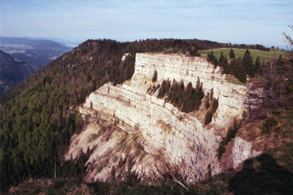Imagen de producto - 3