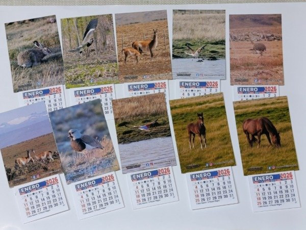 Producto - Almanaque Imantado 2026 - Fotografía de Autor  (Patagonia)