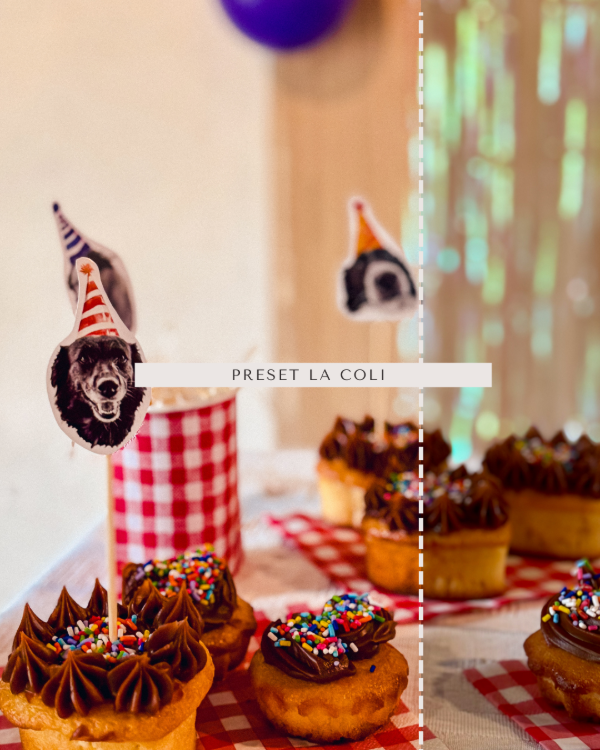 Producto - Preset La Coli