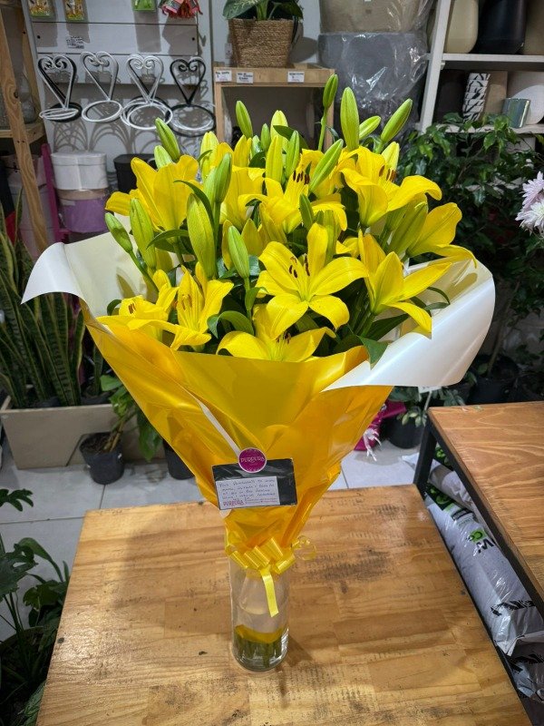 Producto - 12 LILIUM CLASICOS