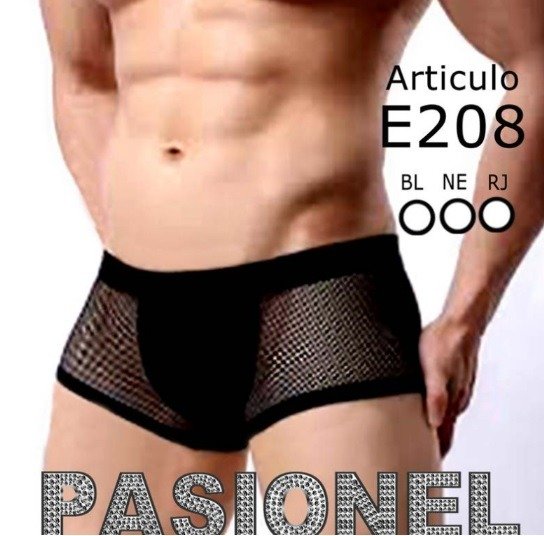 Producto - Boxer tul entrepierna lisa Pasionel