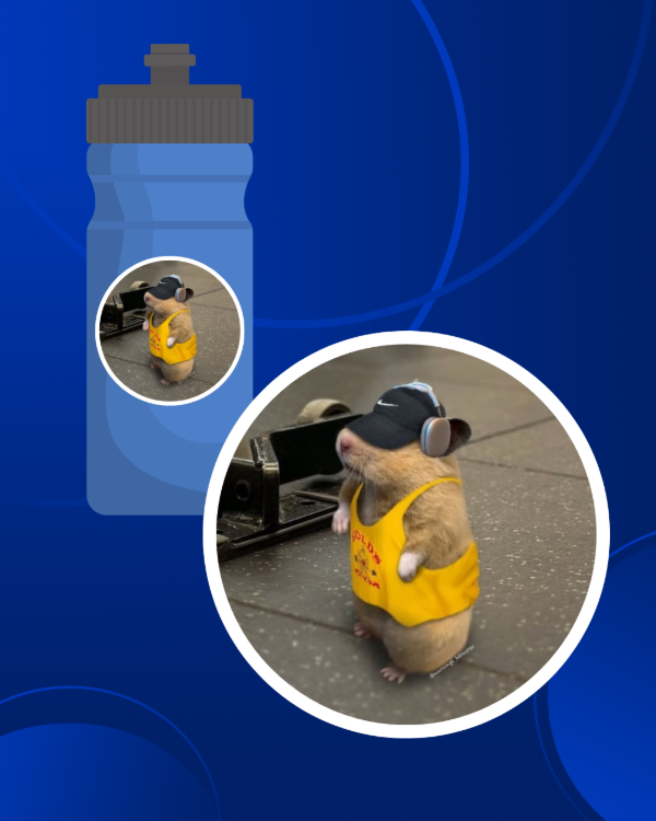 Producto - Hámster gym