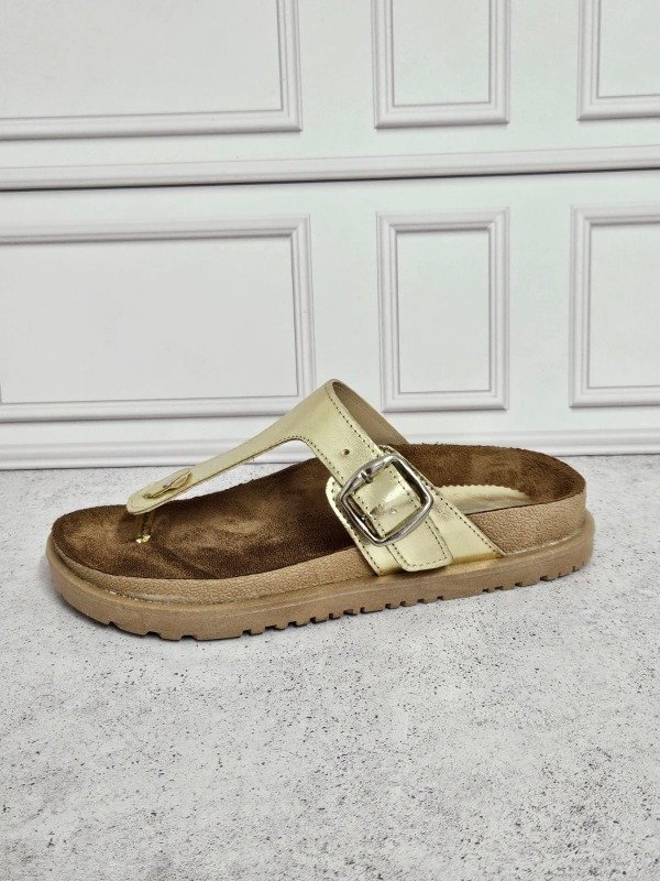 Producto - LOLA II