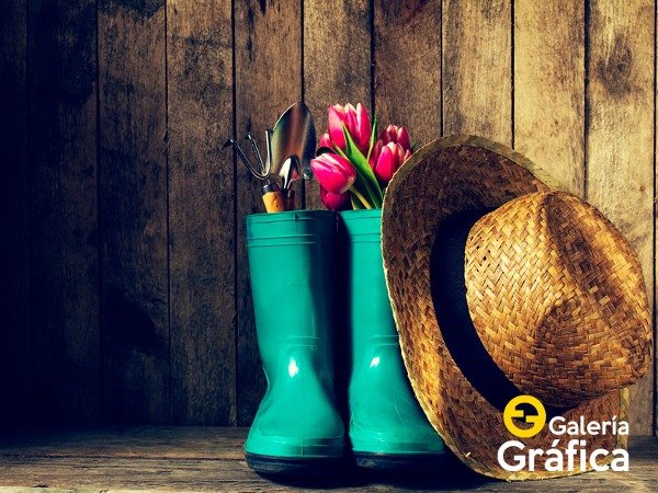 Producto - Jardineria FS