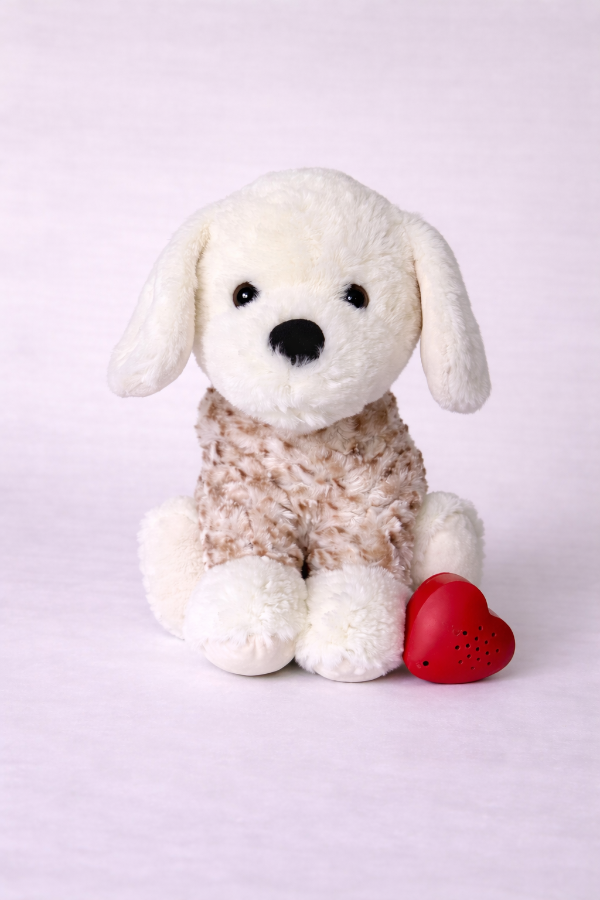 Producto - Perrito Gallina - 1