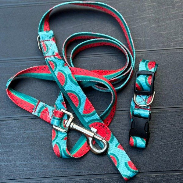 Producto - Combo Collar y correa - Talle S