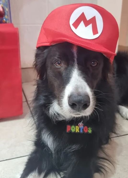 Producto - Identificación Mario Bros - 1