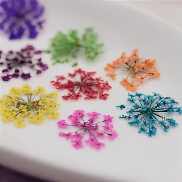 Producto - Flores Secas - 1
