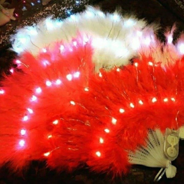 Producto - Abanicos Plumas Led x 10