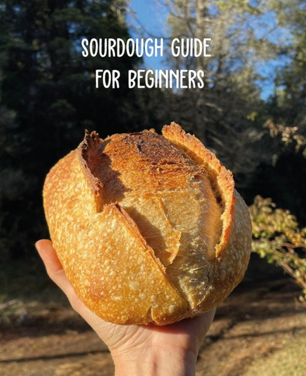 Producto - Sourdough guide for beginners