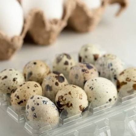 Producto - Huevos de Codorniz. Docena