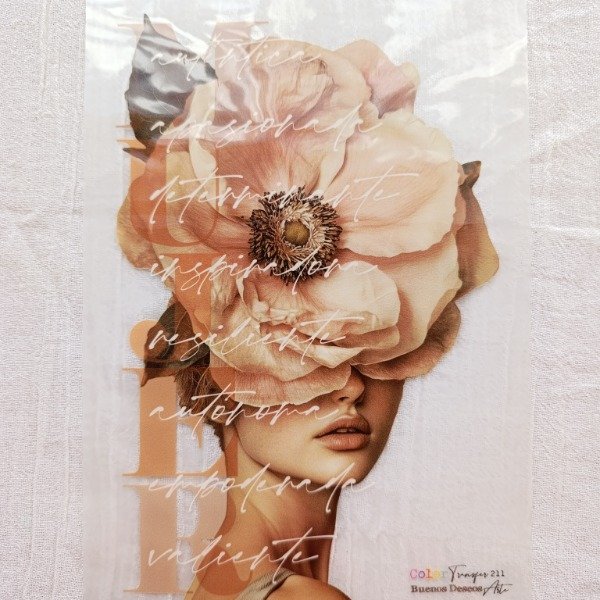 Producto - CT 211