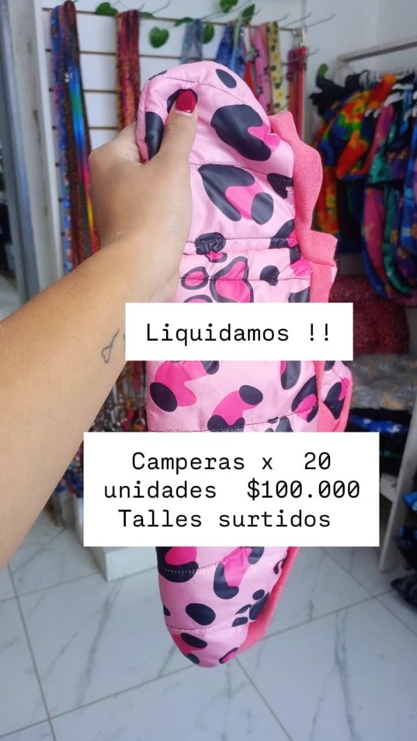 Producto - 20 camperas