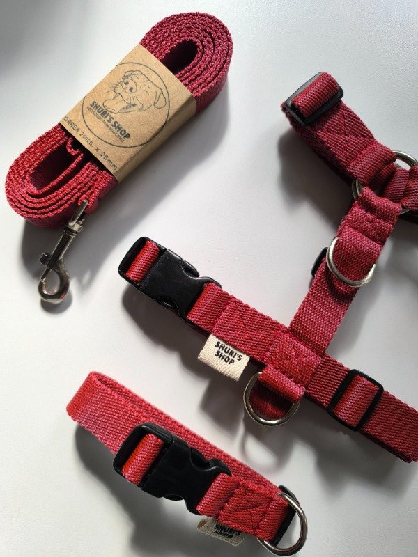 Producto - Set Liso TALLE M - PRETAL+COLLAR+CORREA