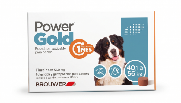 Producto - Power Gold (1 MES) 40 a 56 kg