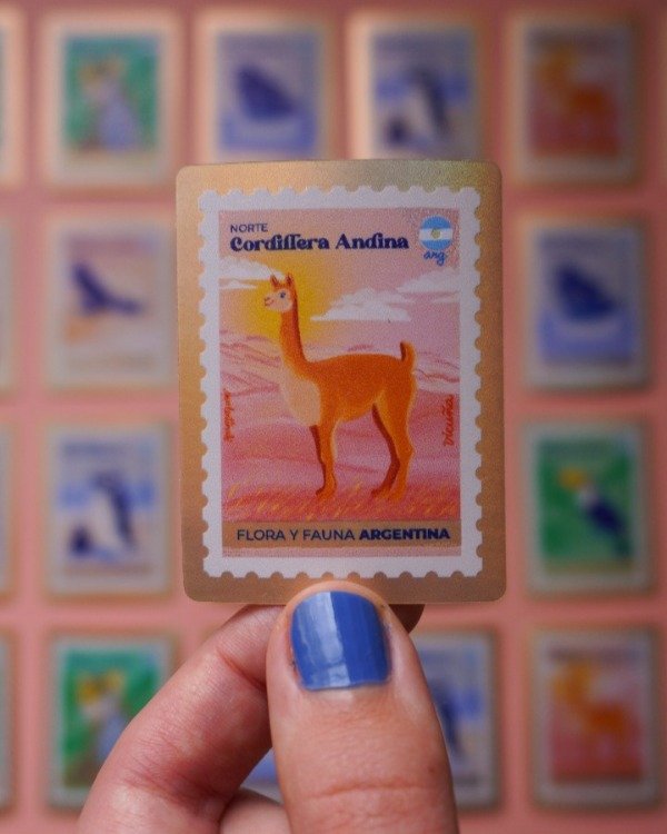 Producto - Vicuña norteña