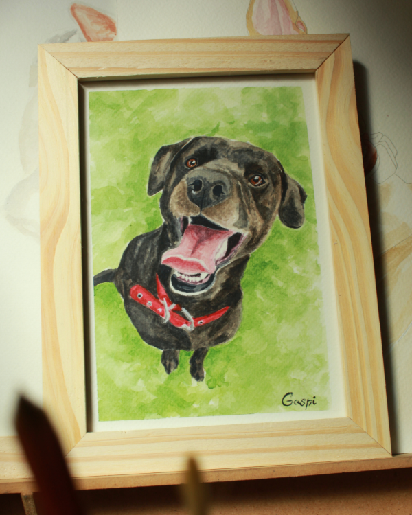 Producto - Retrato de mascota enmarcado - 0