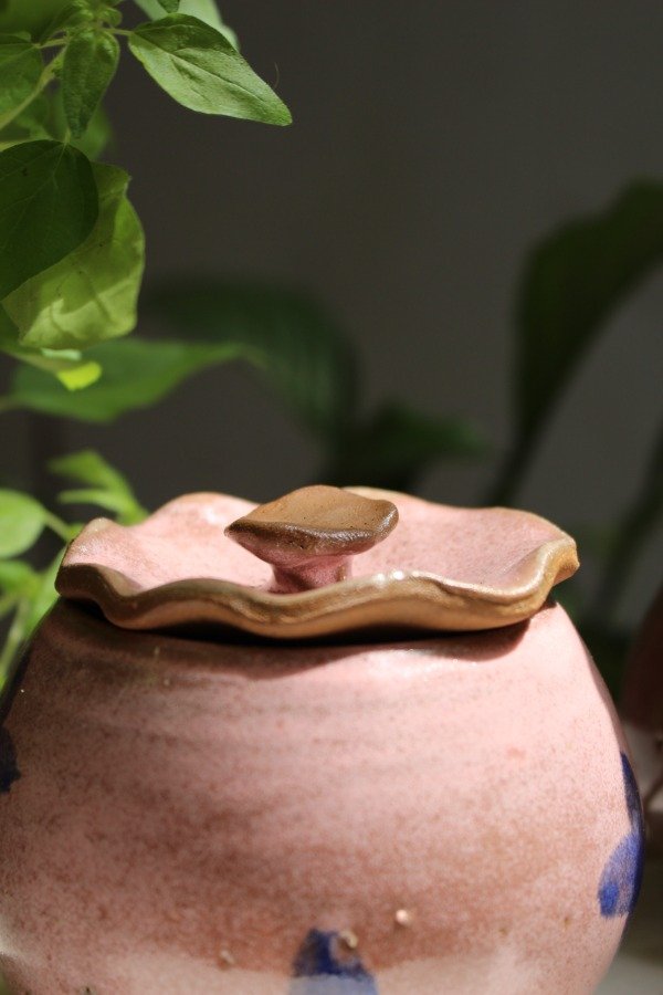 Producto - Azucarera Cereza - 8