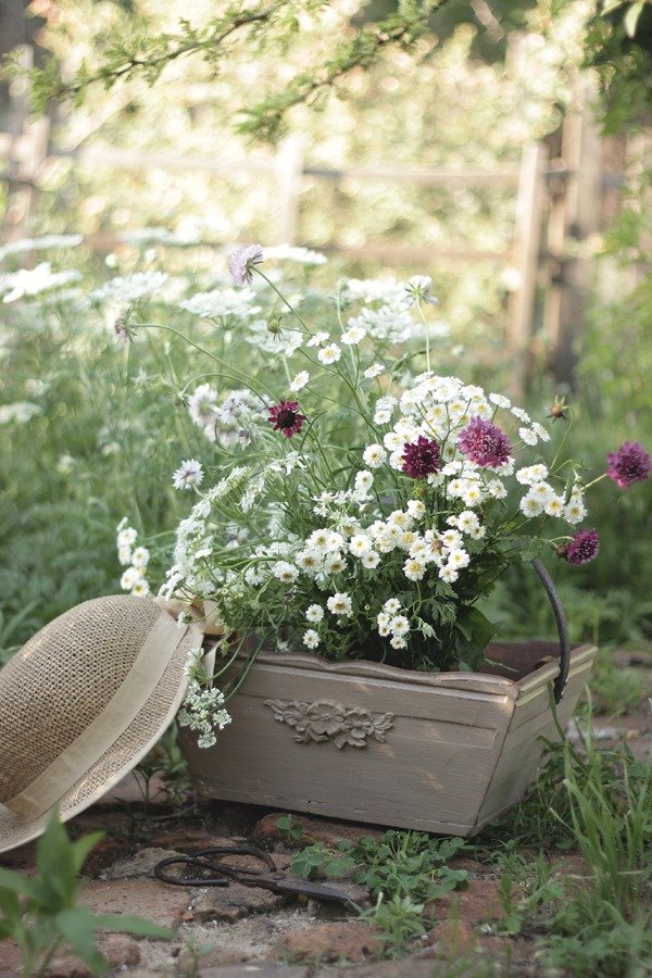 Producto - Canasta "Harvest"