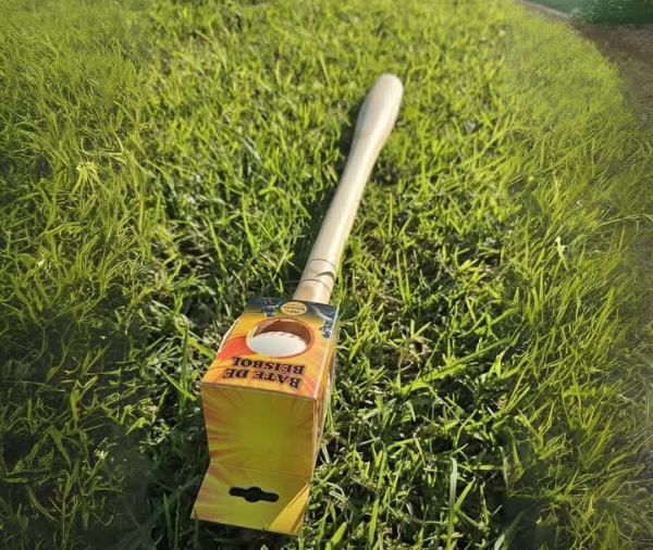 Producto - Bate baseball con pelota