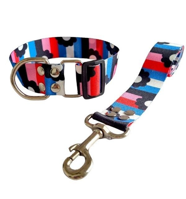 Producto - Collar y Correa FLORES MULTICOLOR AZUL
